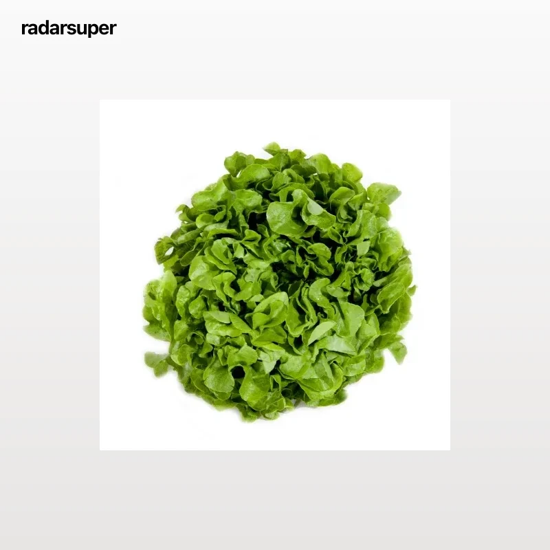 Hoja de roble verde Verduras Curro 200 g aprox