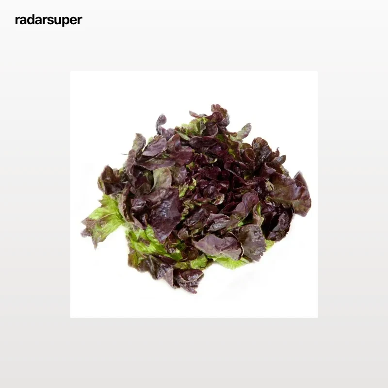 Lechuga hoja de roble roja 250 g aprox