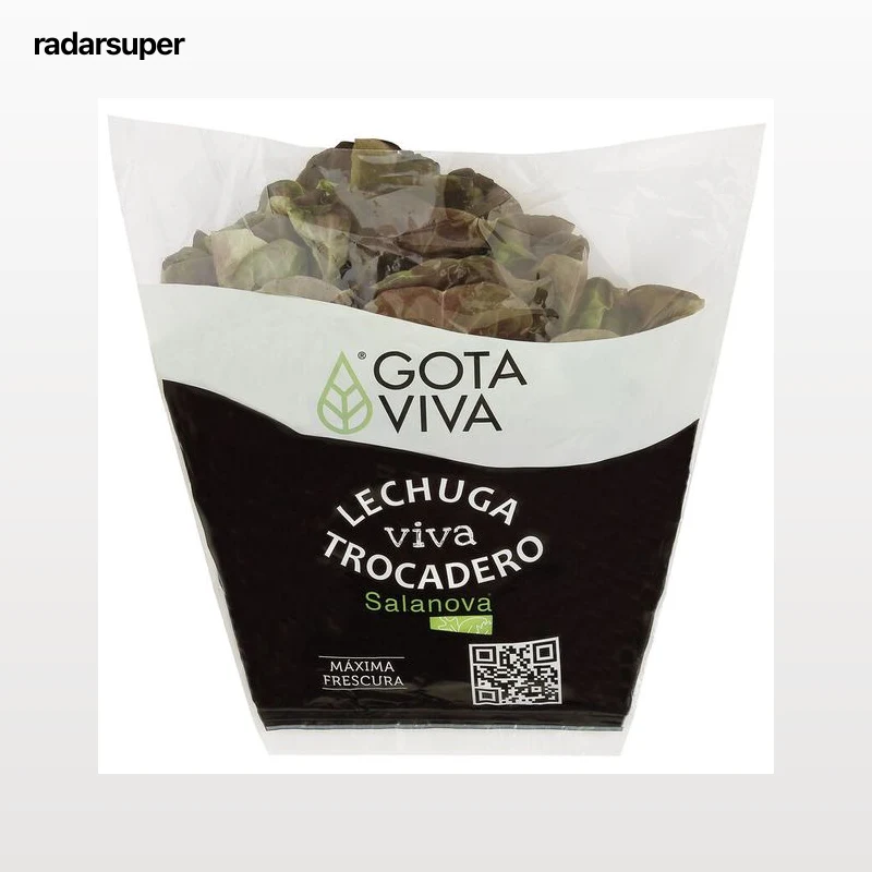 Lechuga hoja roble viva