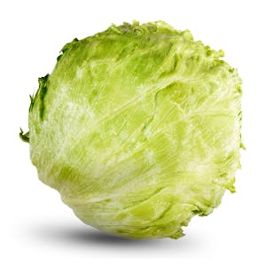 Lechuga Iceberg