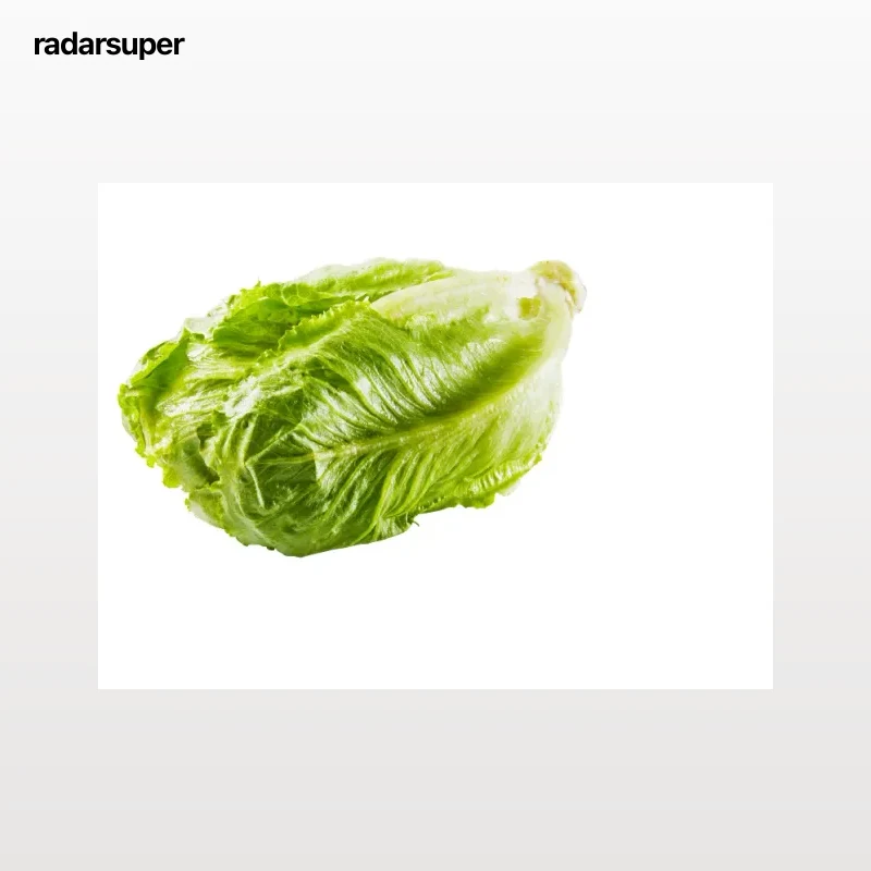 Lechuga Romana