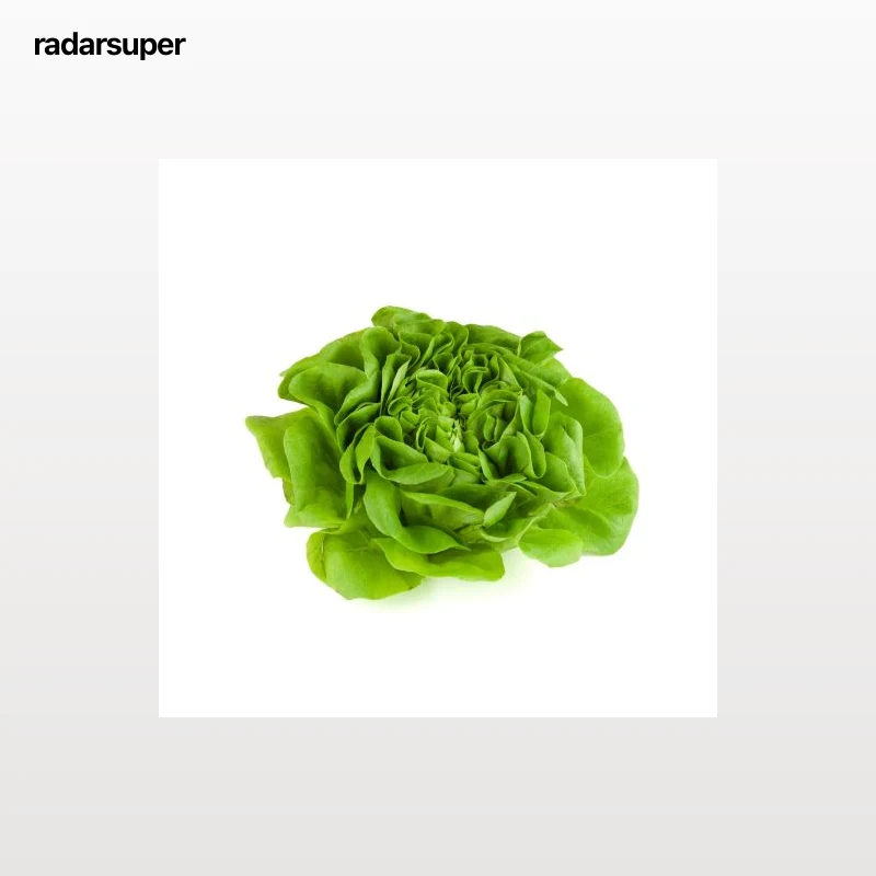 Lechuga Trocadero 1 ud.