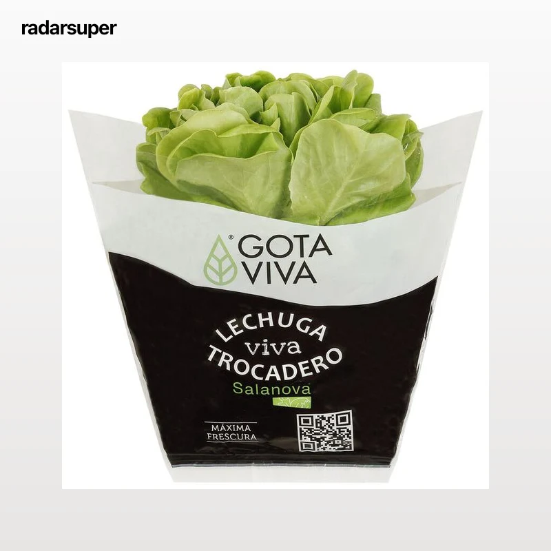Lechuga viva trocadero verde 1ud