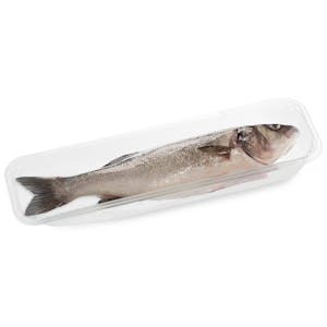 Lubina limpia