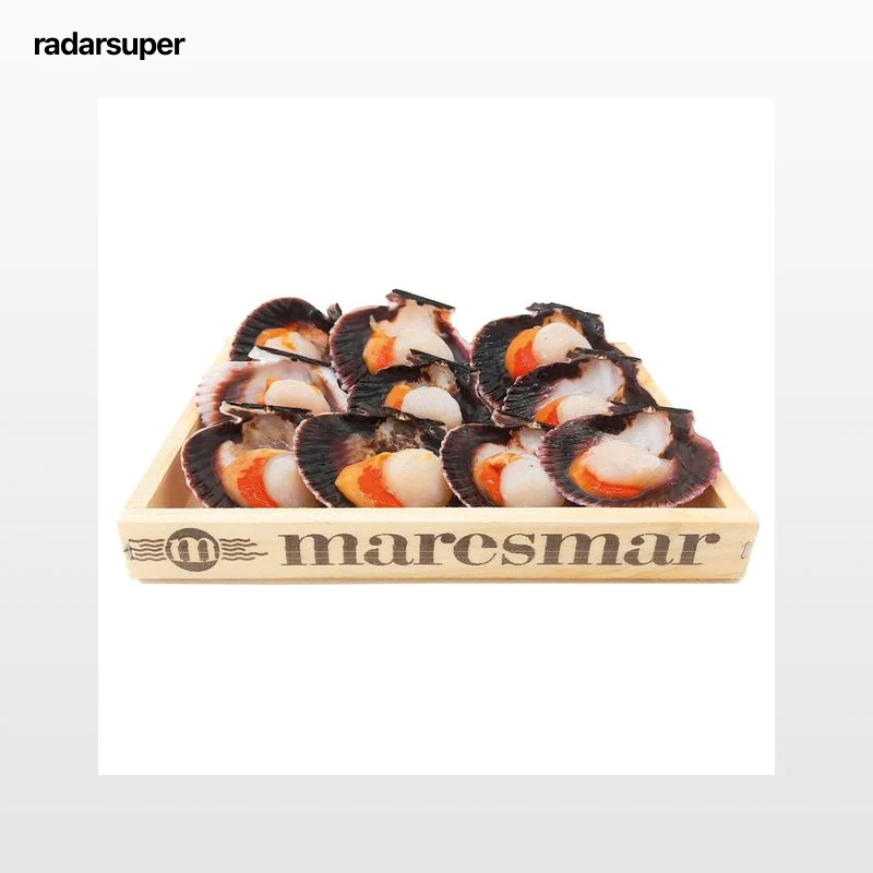 MARESMAR Vieira media concha caja de 10 unidades