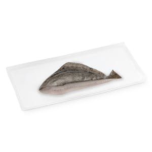 Medio rodaballo
