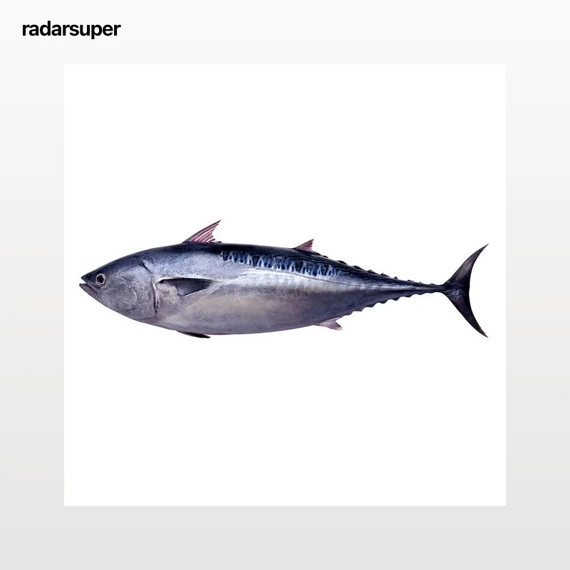 Melva mostrador - Rodajas