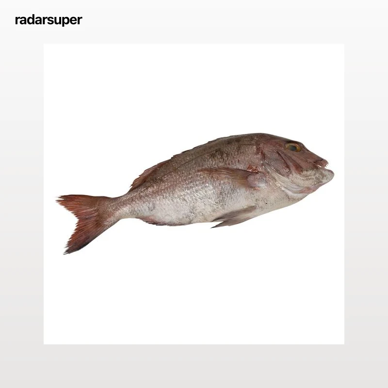Pargo de cría mostrador - Entero