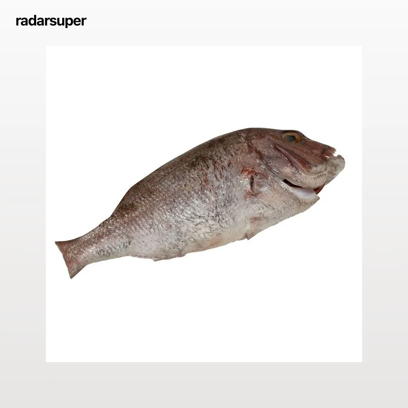 Pargo de cría mostrador - Entero limpio