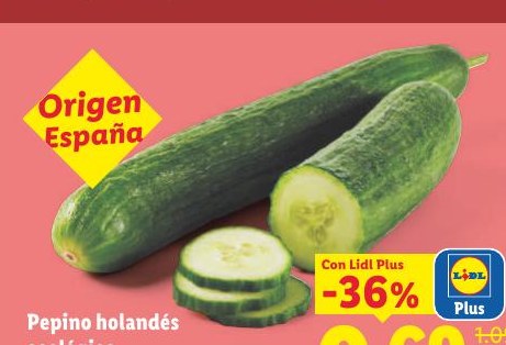 Pepino holandés ecológico