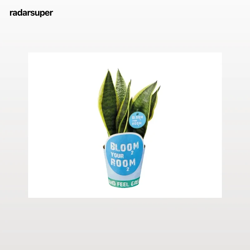 Planta verde
