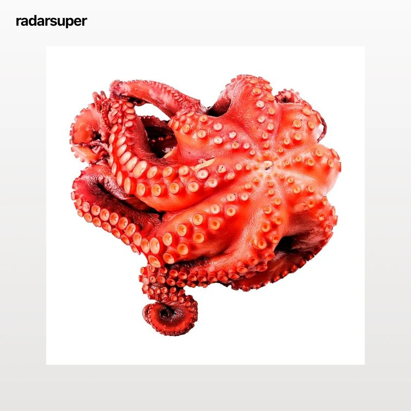 Pulpo cocido pieza 400 - 600 g aprox.