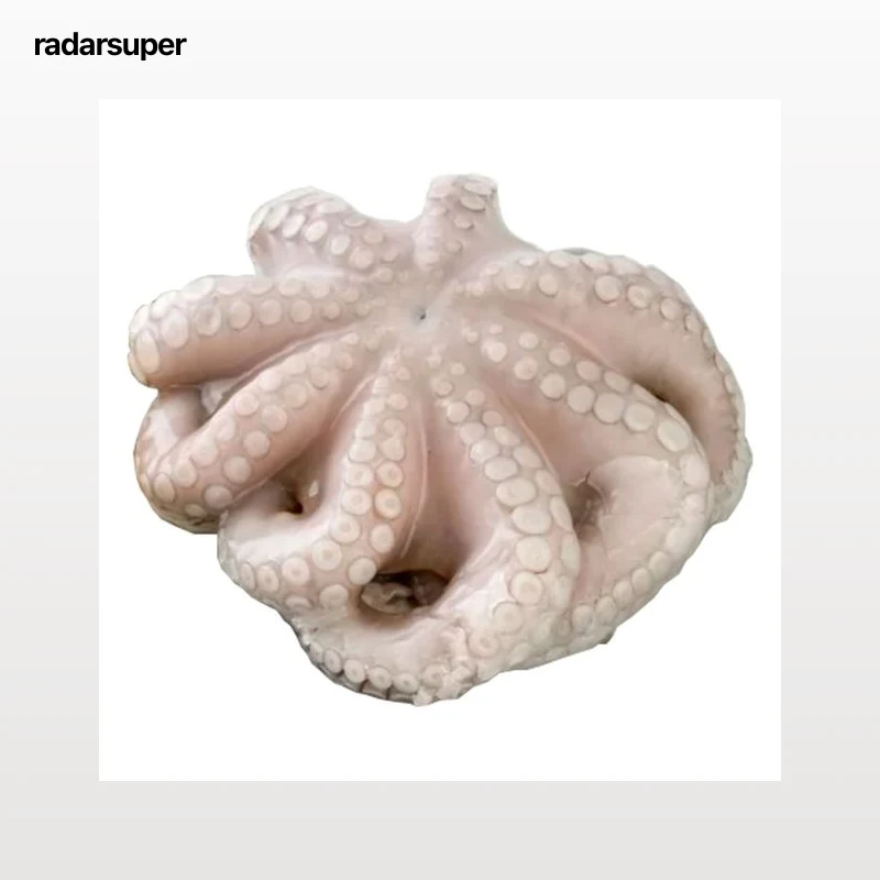 Pulpo entero pequeño crudo
