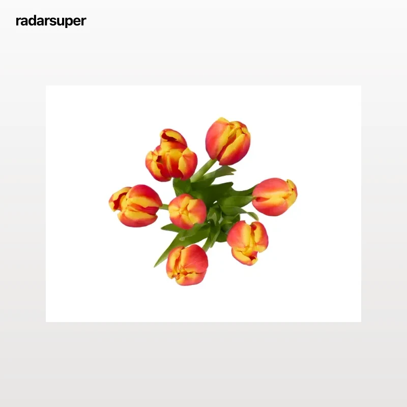 Ramo de tulipanes