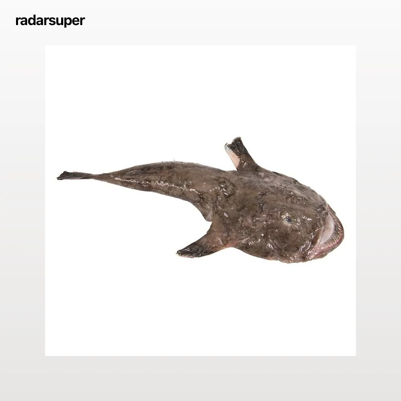 Rape entero mostrador - Entero