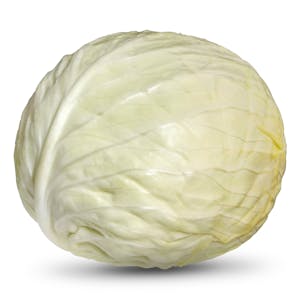 Repollo liso