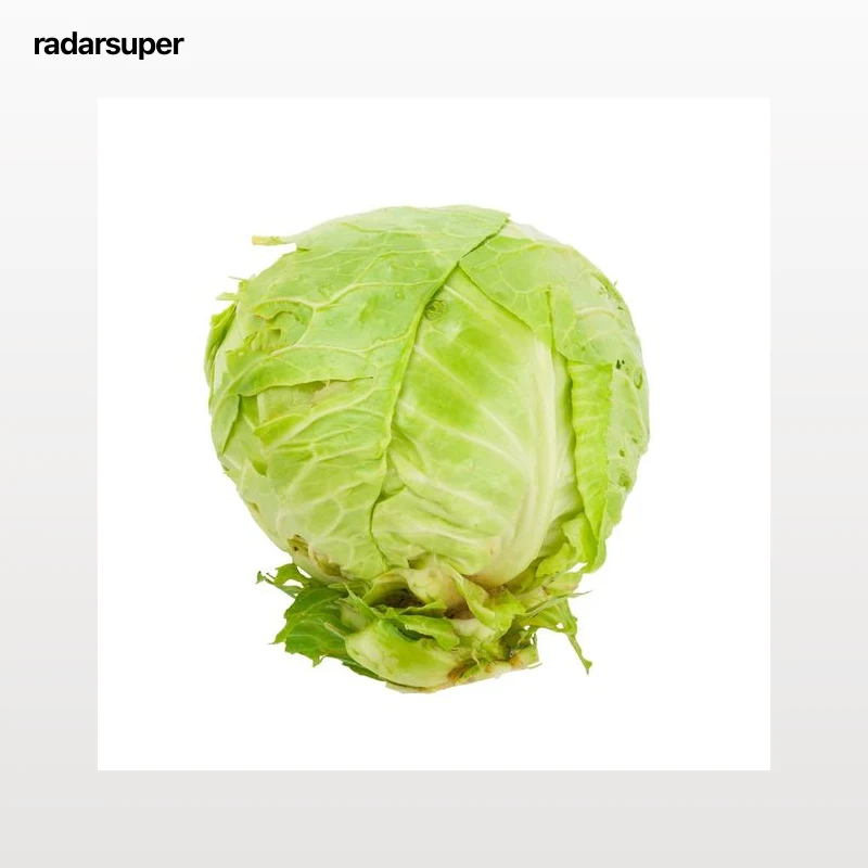 Repollo