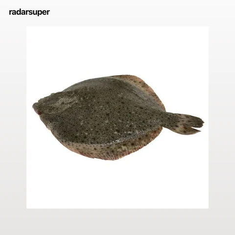Rodaballo grande mostrador. - Entero