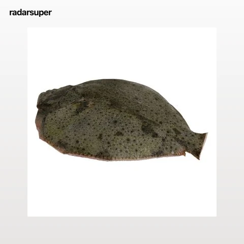 Rodaballo grande mostrador. - Entero limpio