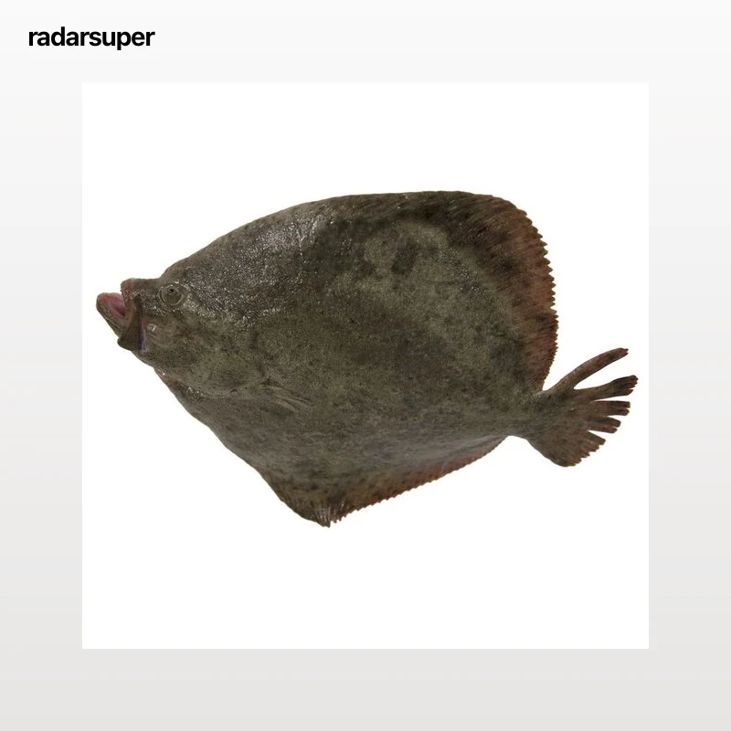 Rodaballo mostrador