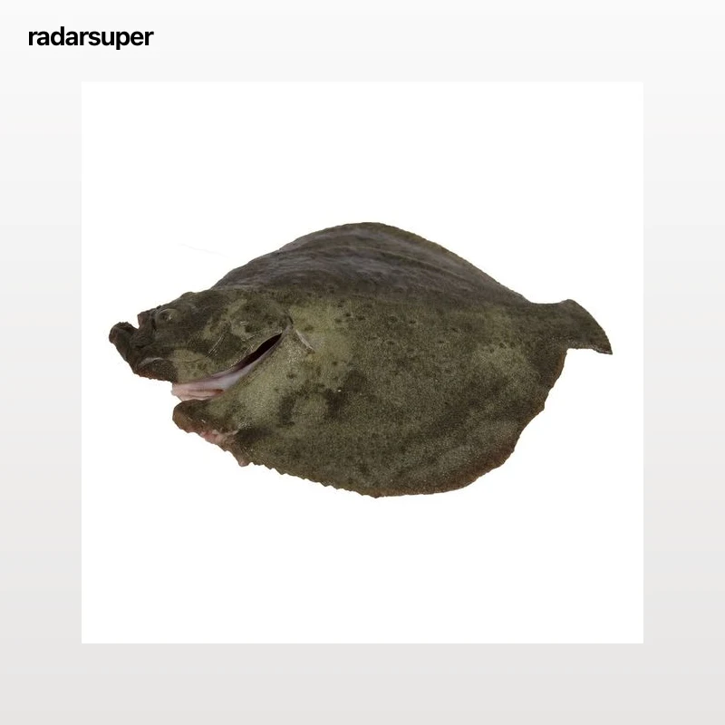 Rodaballo mostrador - Entero limpio