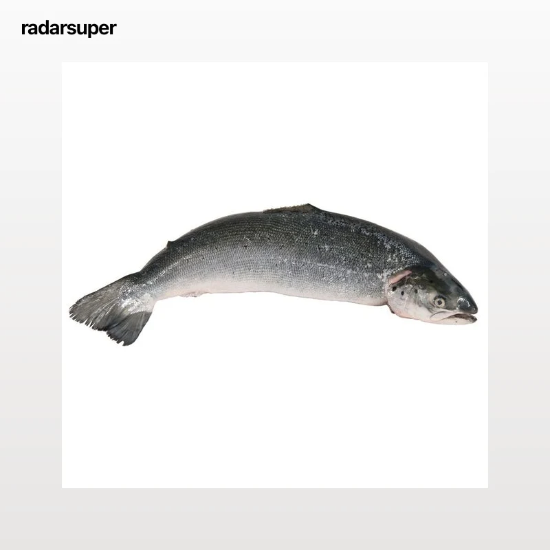 Salmón entero.