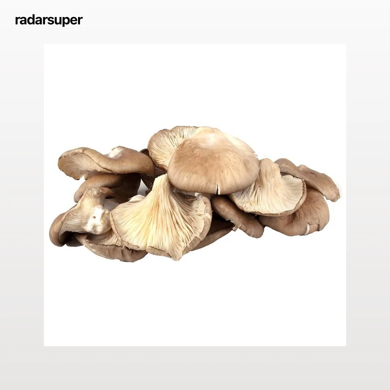 Setas (pleurotus ostreatus) al peso.