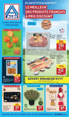 Couverture : Catalogue Aldi