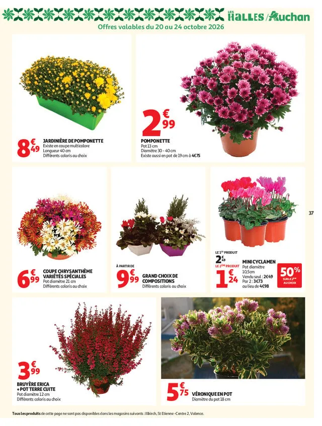 Catalogue Auchan · du 20 octobre 2026 au 25 octobre 2026 — page 37