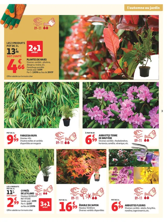 Catalogue Auchan · du 22 septembre 2026 au 11 octobre 2026 — page 3