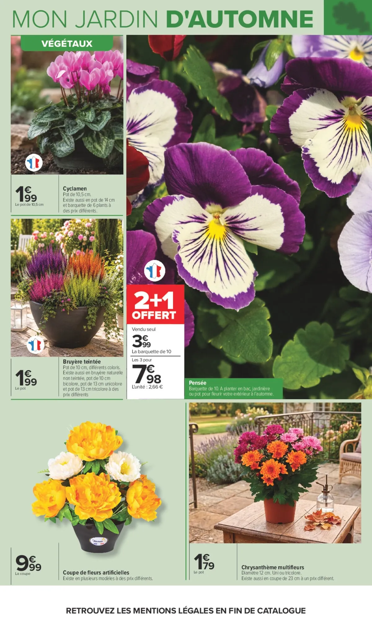 Catalogue Carrefour · Jardin Et Bricolage — page 3