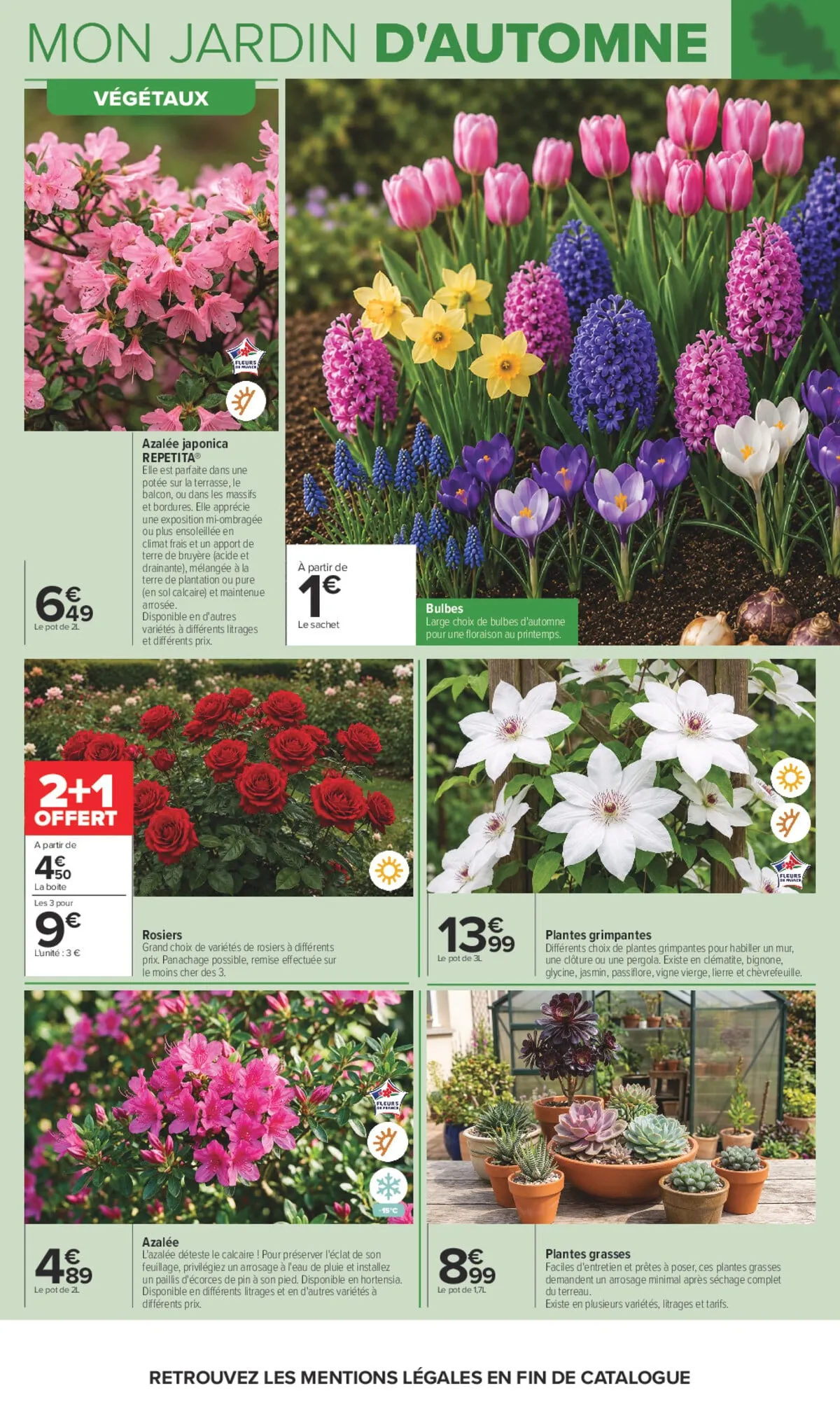 Catalogue Carrefour · Jardin Et Bricolage — page 4