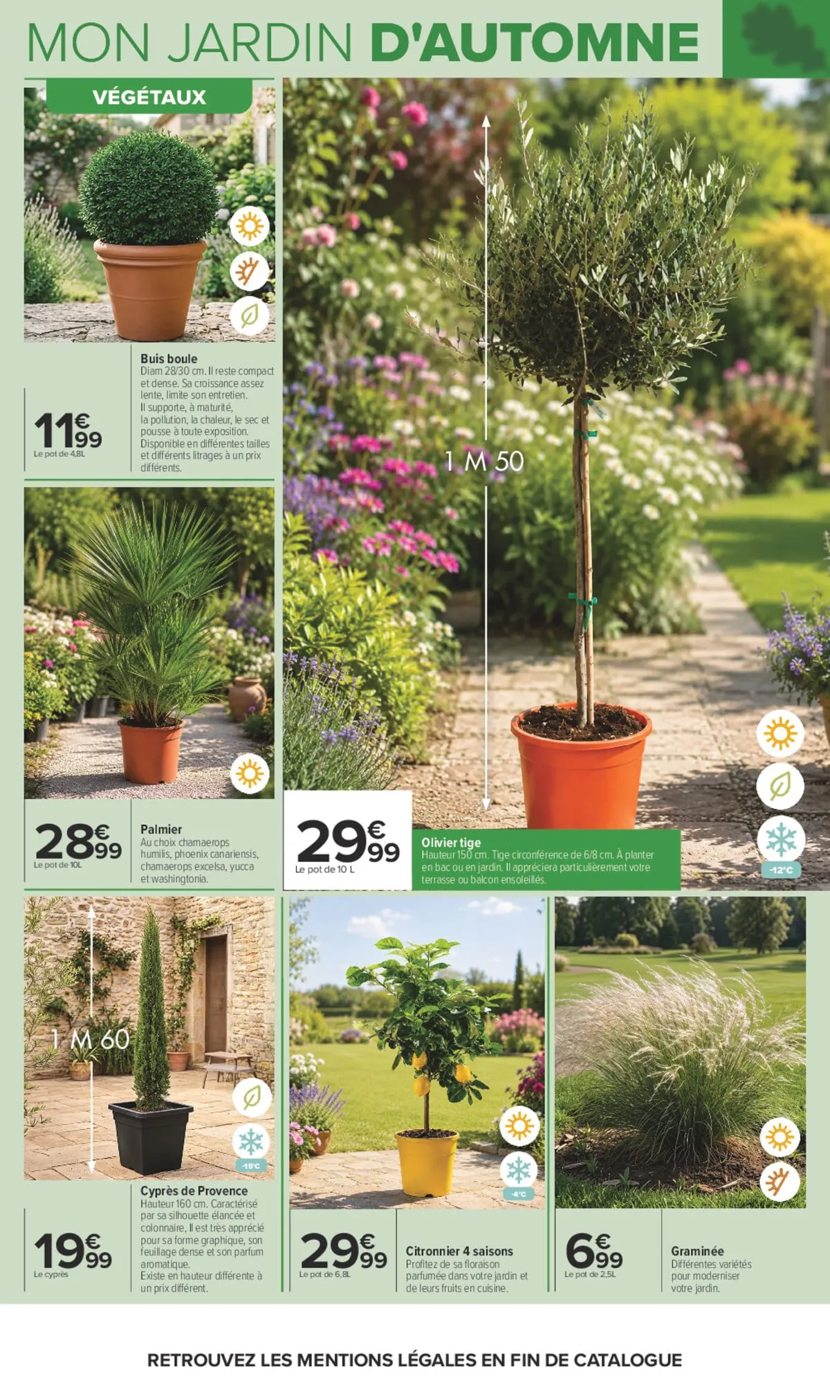 Catalogue Carrefour · Jardin Et Bricolage — page 5