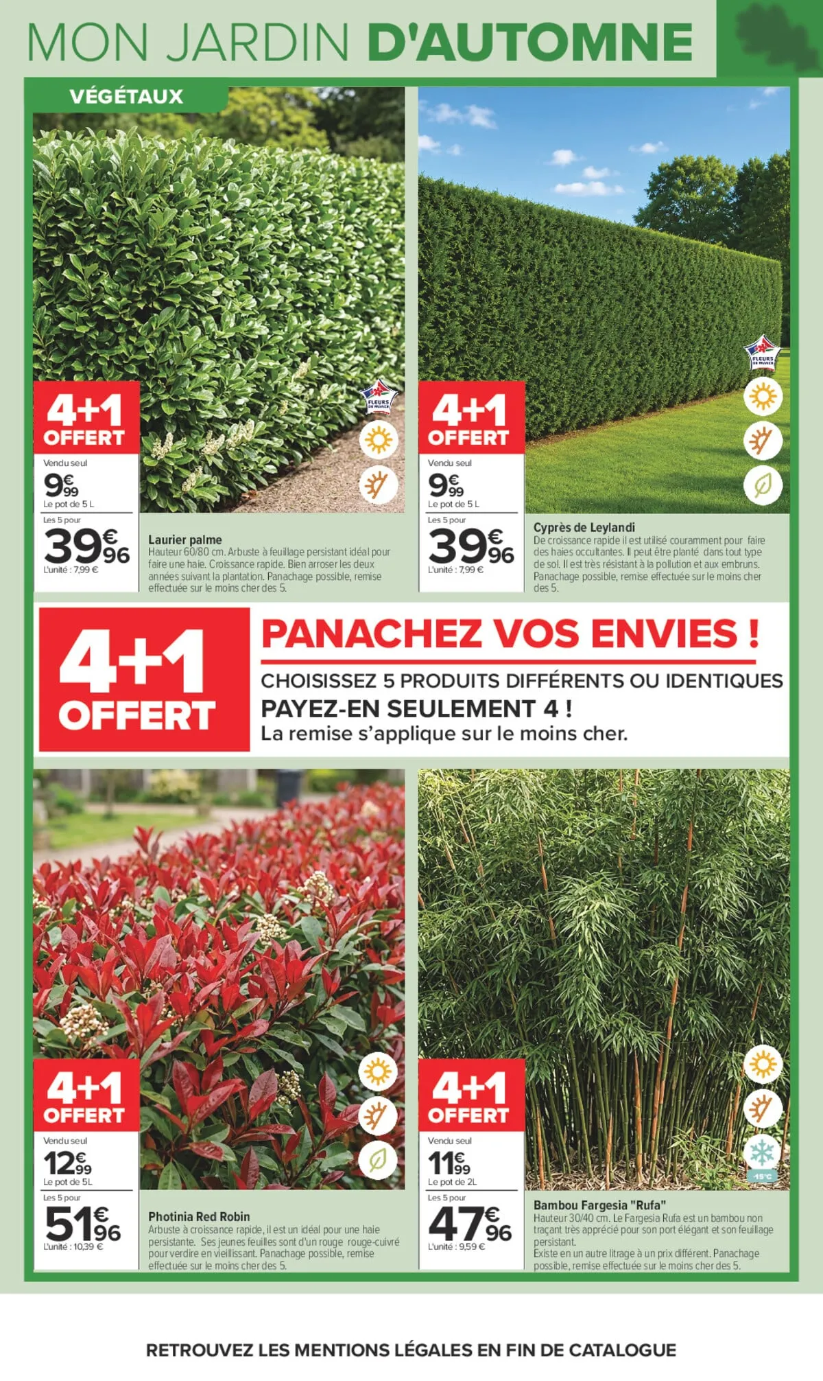 Catalogue Carrefour · Jardin Et Bricolage — page 6