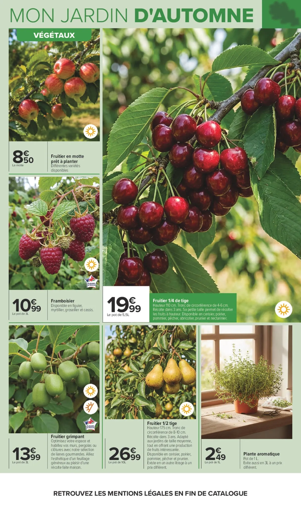 Catalogue Carrefour · Jardin Et Bricolage — page 7