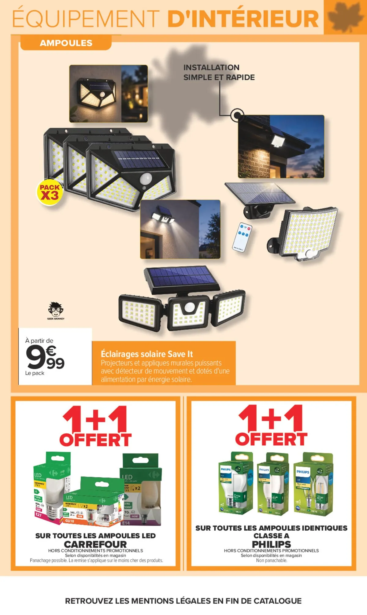 Catalogue Carrefour · Jardin Et Bricolage — page 19