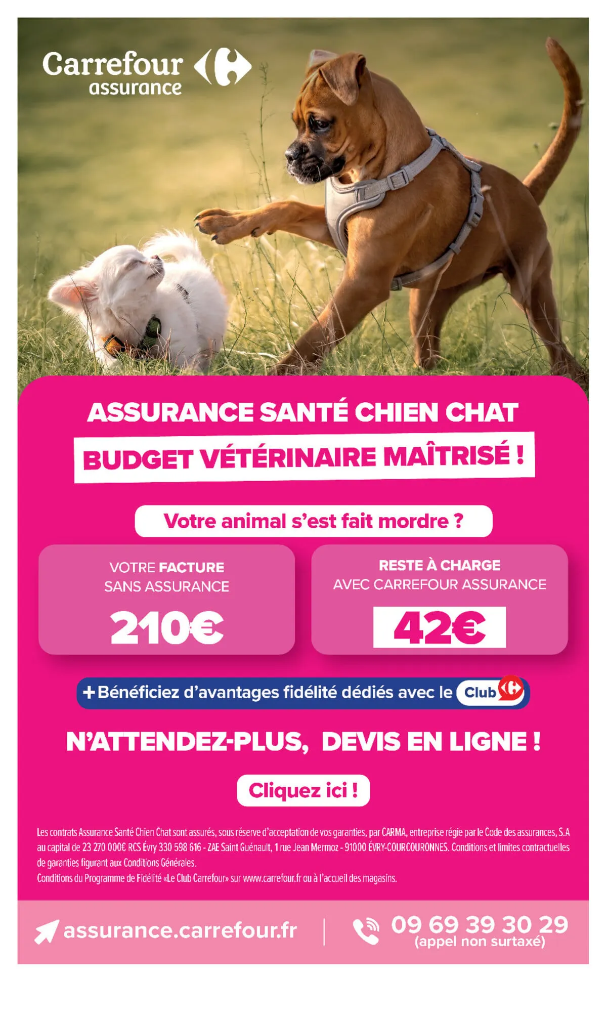 Catalogue Carrefour · Octobre Rose — page 75