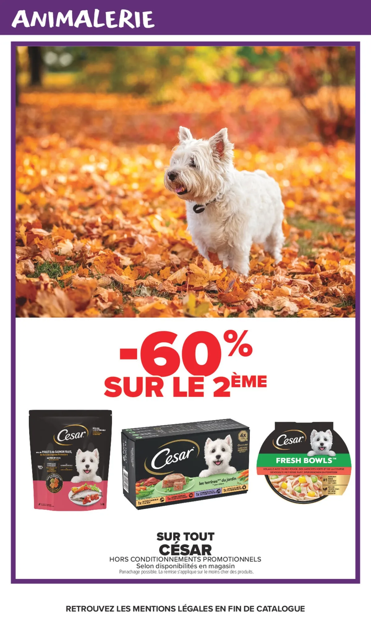 Catalogue Carrefour · Haha Halloween, Des Prix Affreusement Ridicules — page 49