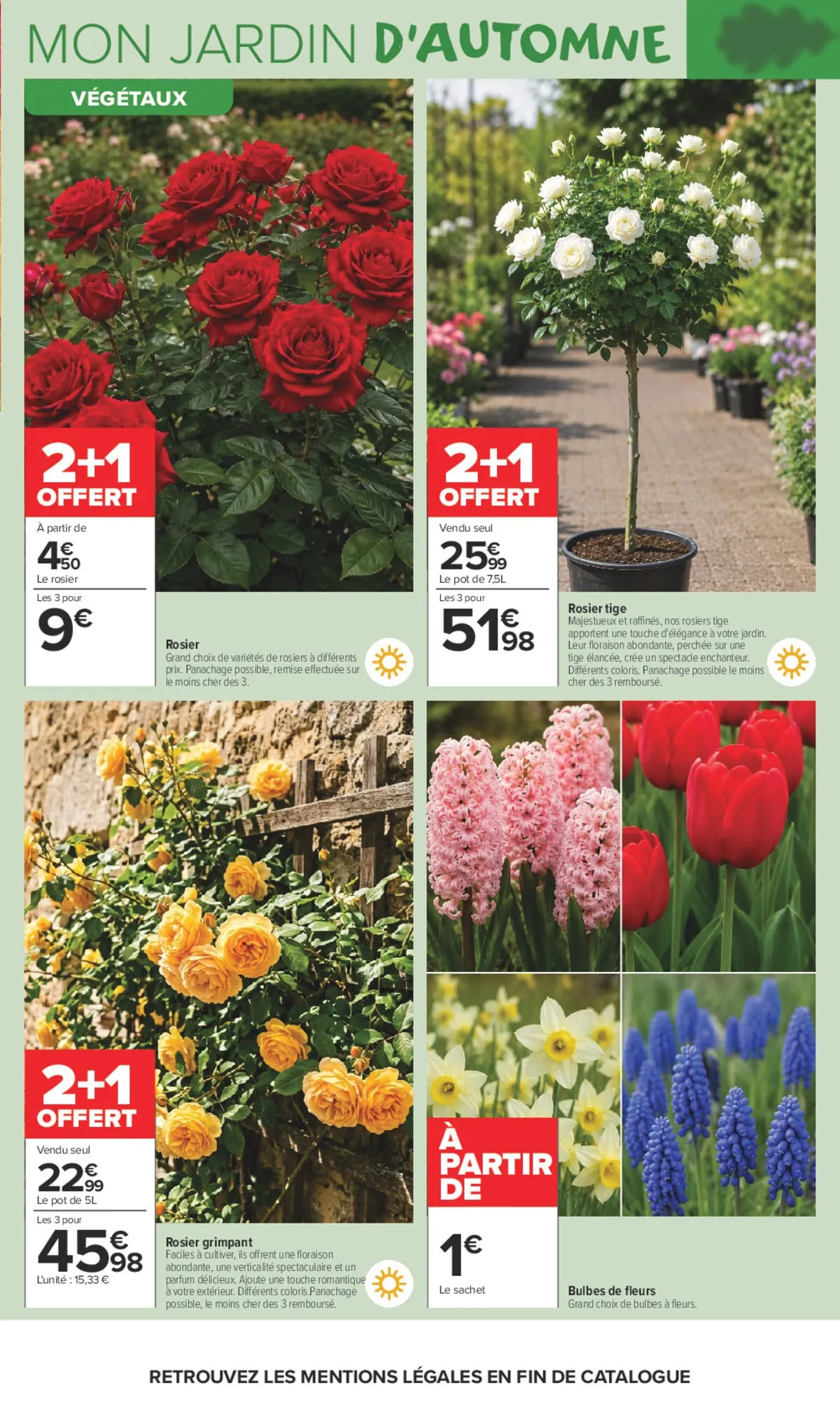Catalogue Carrefour · Là Ou La Vie Se Cultive — page 3