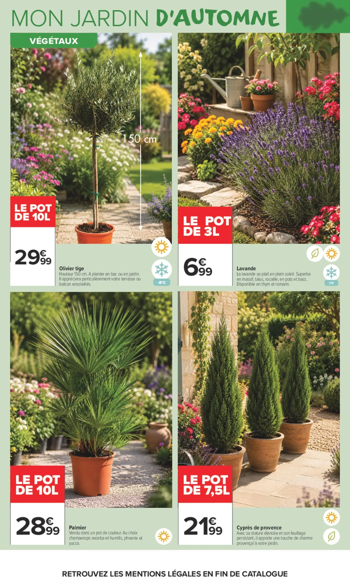 Catalogue Carrefour · Là Ou La Vie Se Cultive — page 4