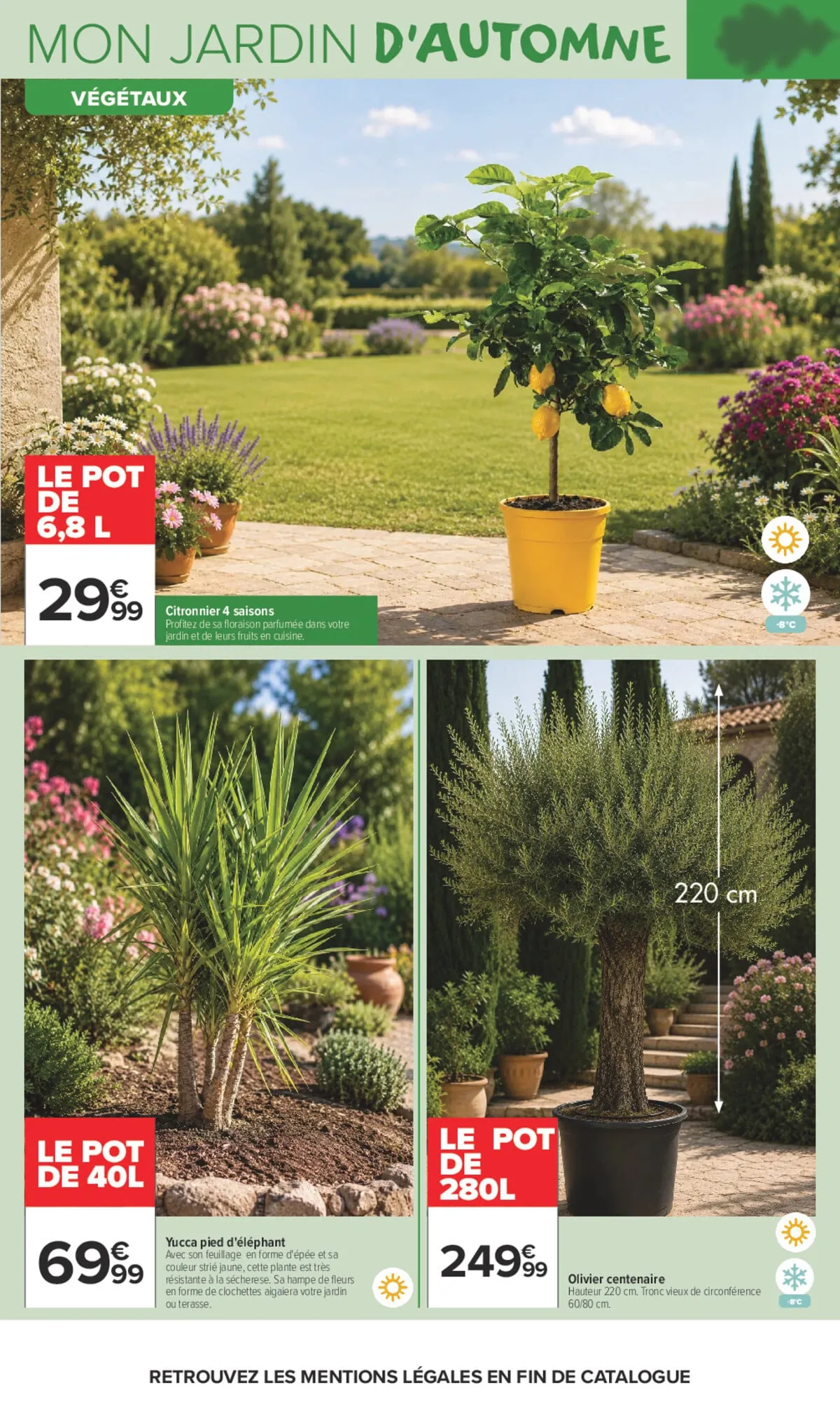 Catalogue Carrefour · Là Ou La Vie Se Cultive — page 5