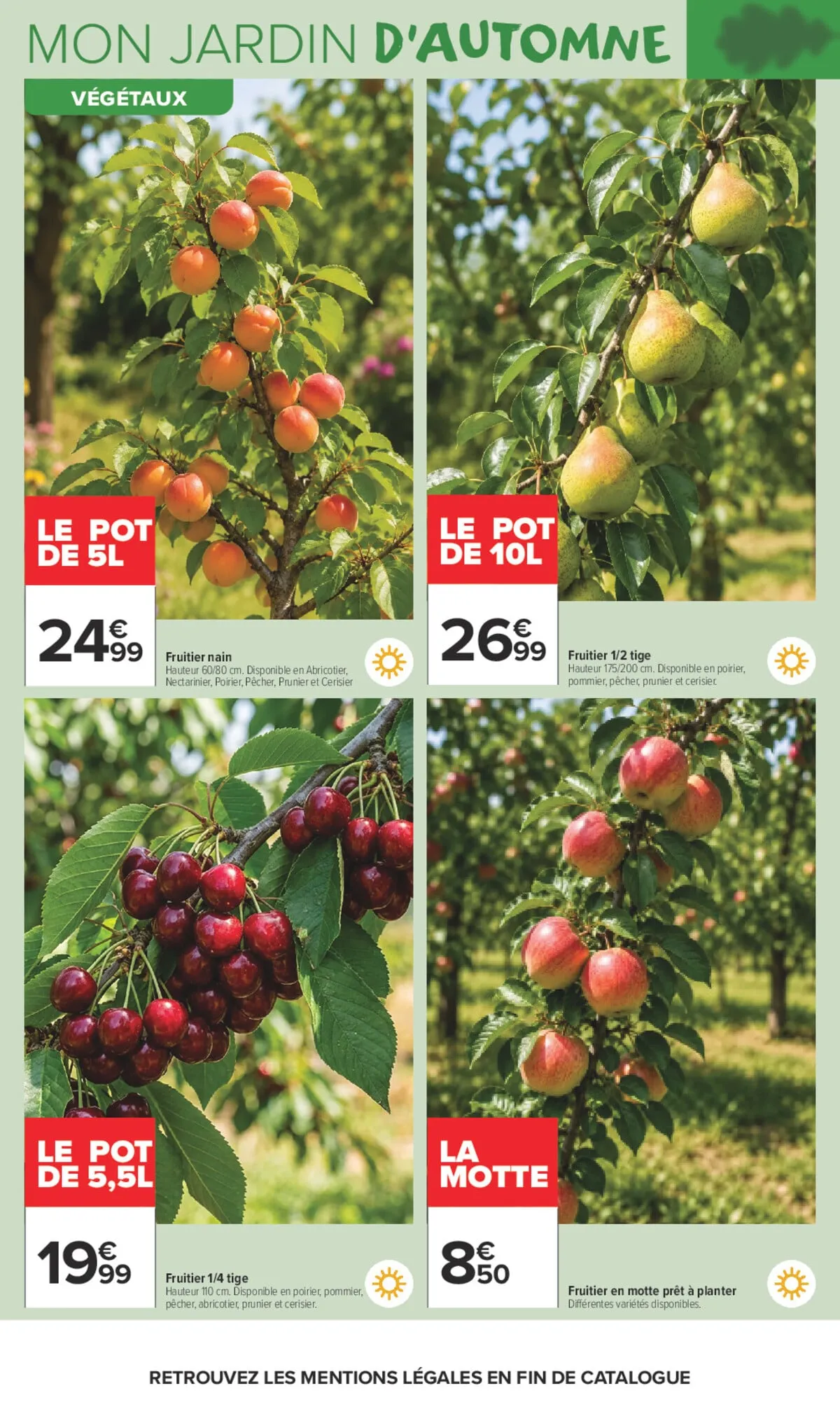 Catalogue Carrefour · Là Ou La Vie Se Cultive — page 6