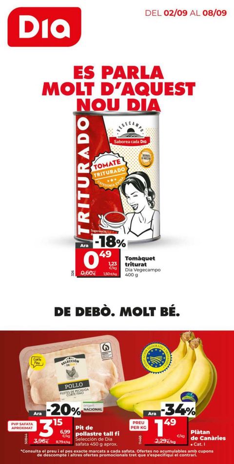 Portada Folleto Día 81
