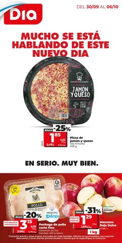 Portada del Folleto Día