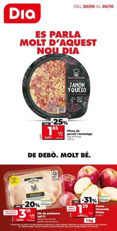 Portada del Folleto Día