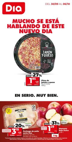 Portada del Folleto Día