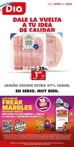 Portada del Folleto Día