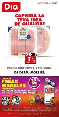 Portada del Folleto Día