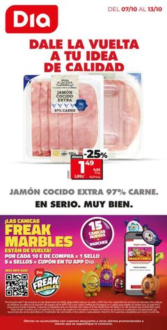 Portada del Folleto Día