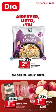 Portada del Folleto Día
